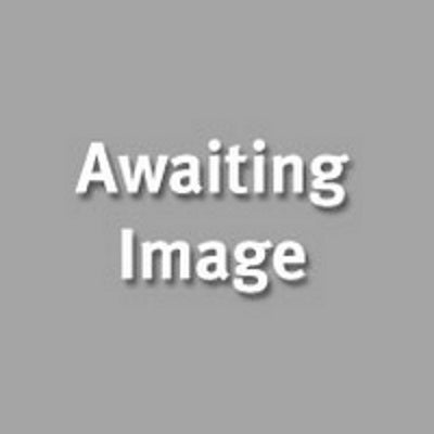 Team MS30 2TB M.2 SATA SSD 2280 530MB/s Solid State Drive